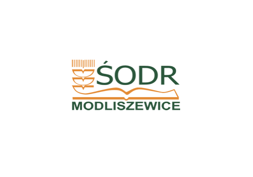 Nowy projekt 2