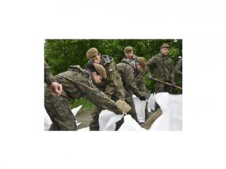 3 1
