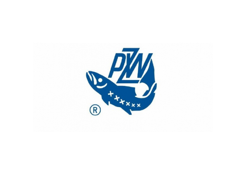 pzw 2