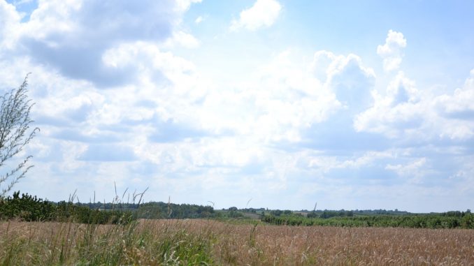 dziurów3