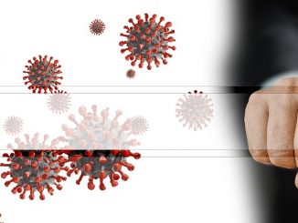 virus 5439648 1280